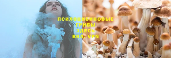 ГАЛЛЮЦИНОГЕННЫЕ ГРИБЫ Абинск